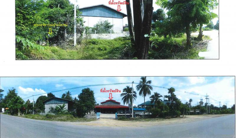 -  ตาขีด บรรพตพิสัย นครสวรรค์