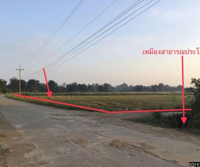 หนองนมวัว ลาดยาว นครสวรรค์