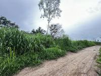 ขายที่ดินว่างเปล่า