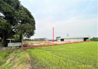 ขายโรงสี